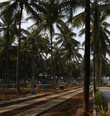 Thumbe Goodu Resort Yadiyur Esterno foto